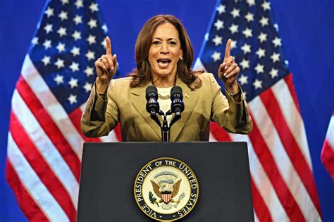 democratic odds 2024|Kamala Harris has put the Democrats back in the race .